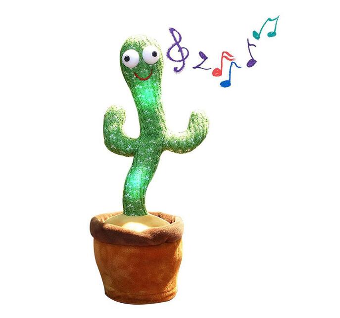 Dancing Cactus